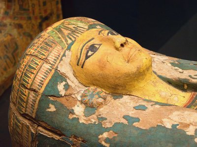 Article featured image