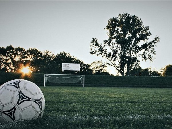 Article featured image