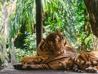 Article featured image