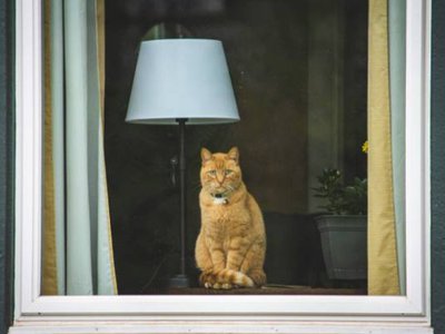Article featured image