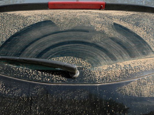 Article featured image