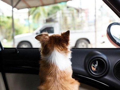 Article featured image