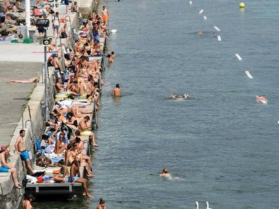 Article featured image