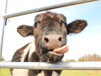 Article featured image