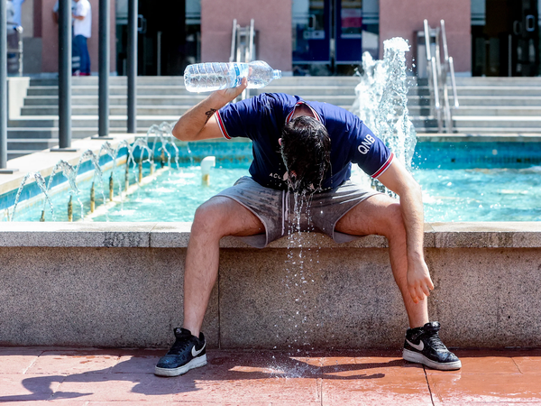 Article featured image