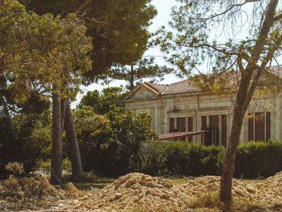 Article featured image