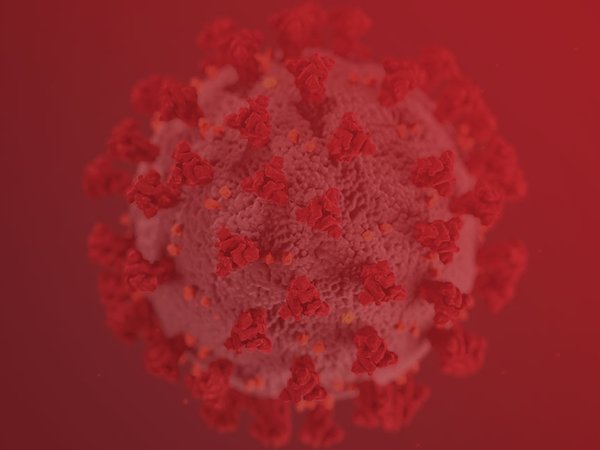 Article featured image