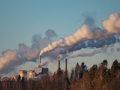Article featured image