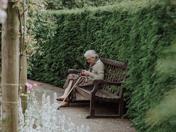 Article featured image