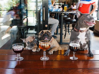 Article featured image