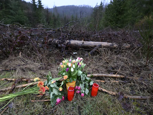 Article featured image