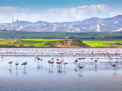 Article featured image