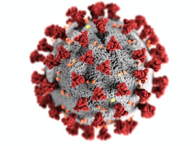 Article featured image