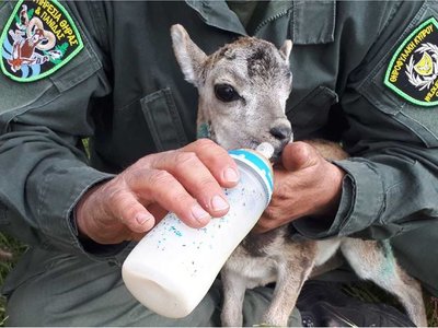 Article featured image