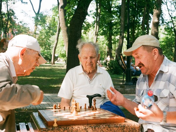 Article featured image