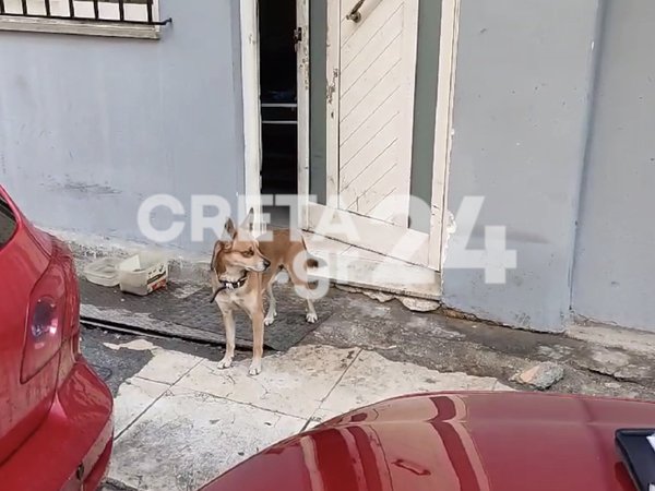 Article featured image