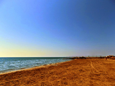 Article featured image