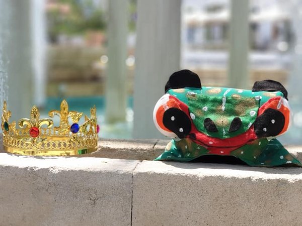 Article featured image