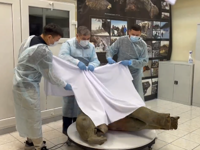 Article featured image