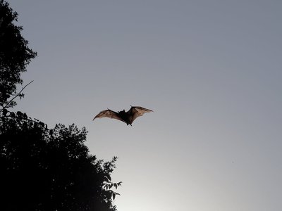 Article featured image