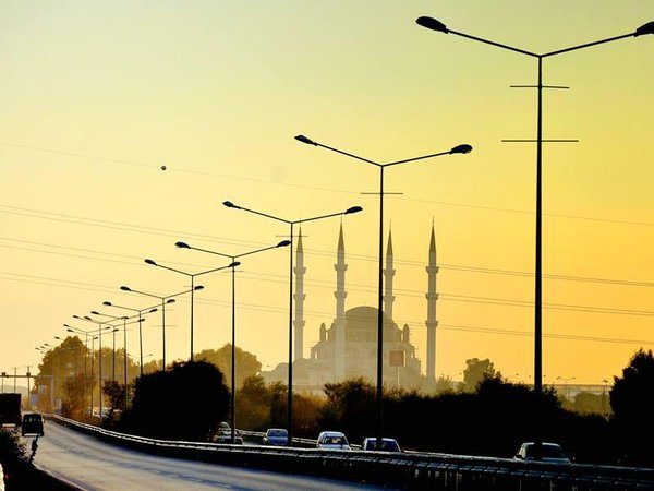 Article featured image