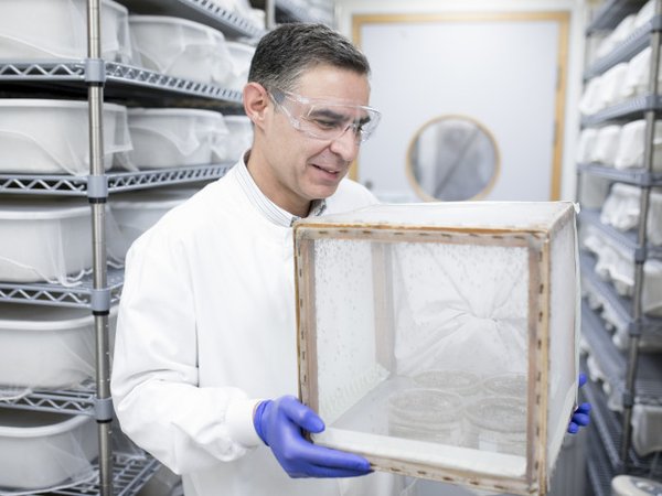 Article featured image