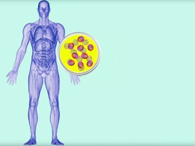 Article featured image