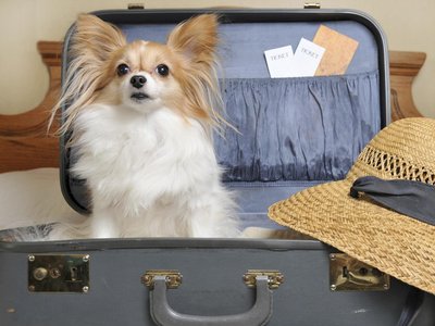 Article featured image