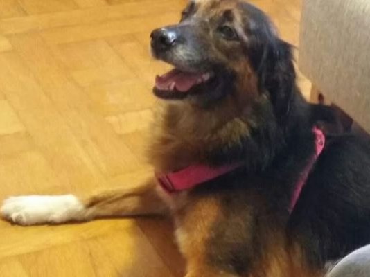 Article featured image