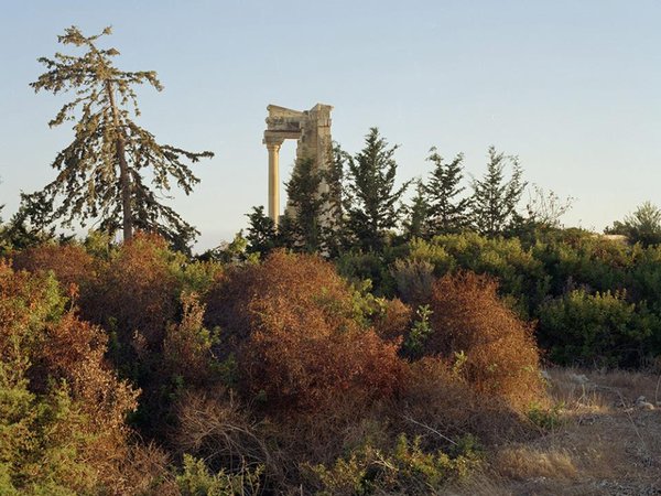 Article featured image