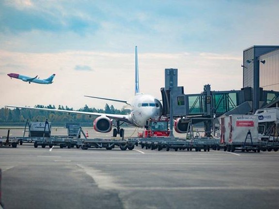 Article featured image