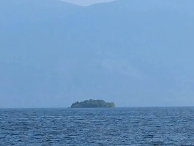Article featured image