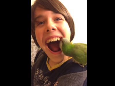 Article featured image