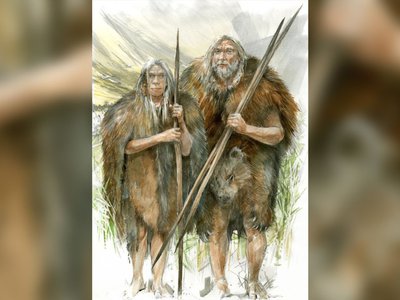 Article featured image