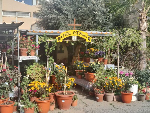 Article featured image