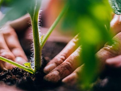 Article featured image