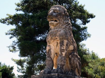 Article featured image