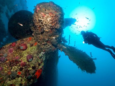 Article featured image