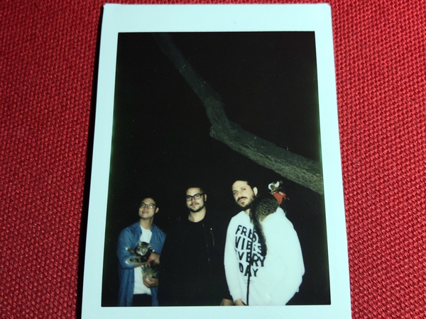 Article featured image