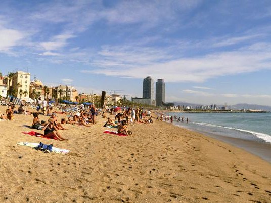 Article featured image