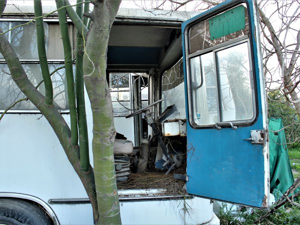 Article featured image