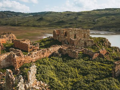 Article featured image