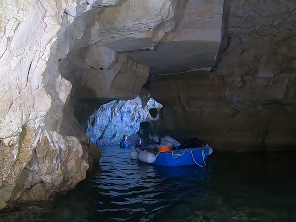 Article featured image