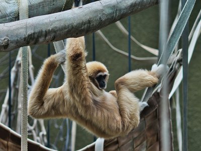 Article featured image