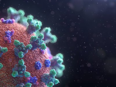 Article featured image