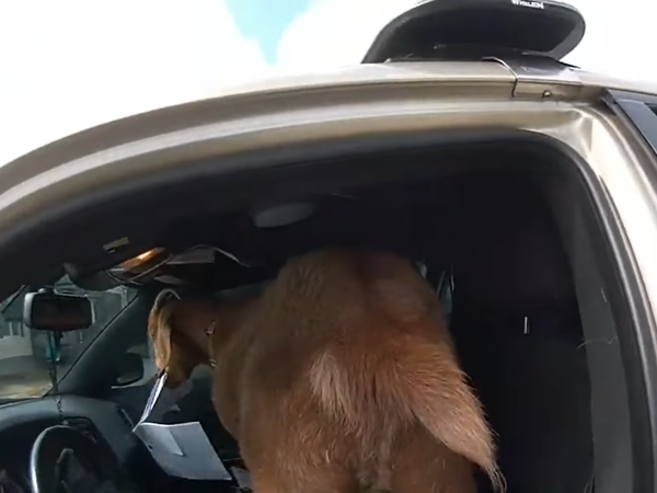 Article featured image