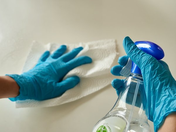 Article featured image