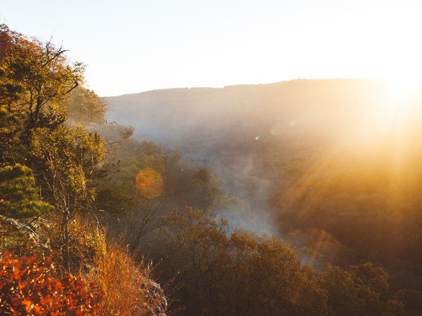 Article featured image