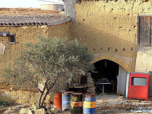 Article featured image