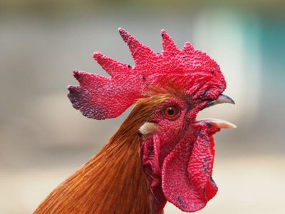 Article featured image